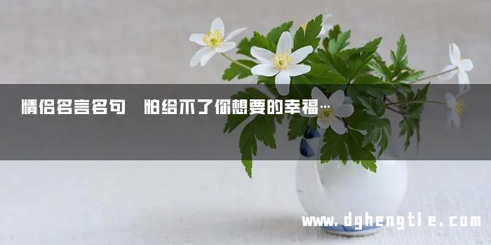 情侣名言名句 怕给不了你想要的幸福…